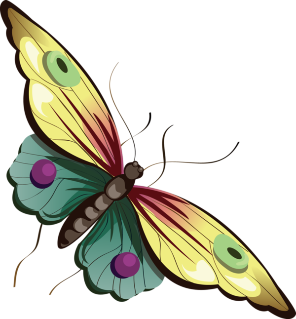 Butterflies Free Clip Art - Butterfly Clipart Transparent Bg (600x646), Png Download