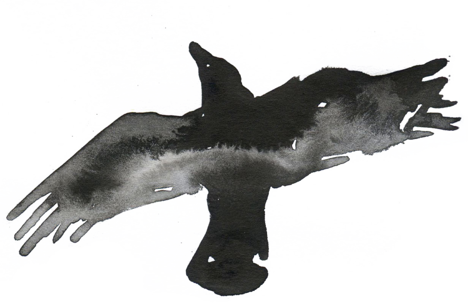 Black Ink In Water Transparent (950x625), Png Download