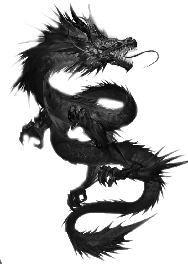 Started Showing Interest In Creating Art At A Early - Dragão Anime (600x845), Png Download