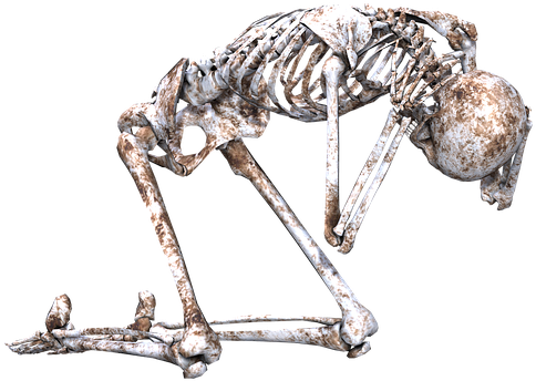 Skeleton Pose Skull Bones 3d Kneeling - Skeleton Kneeling Png (663x480), Png Download