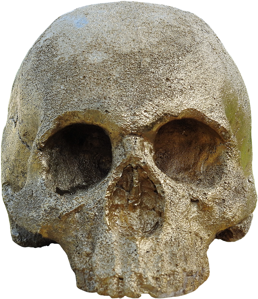 Skull And Crossbones Golden Skull Skull - Skull (1111x1280), Png Download