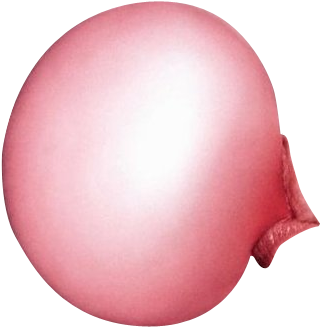 Bubble, Bubblegum, And Lips Image - Bubble Gum Bubble Transparent (364x366), Png Download