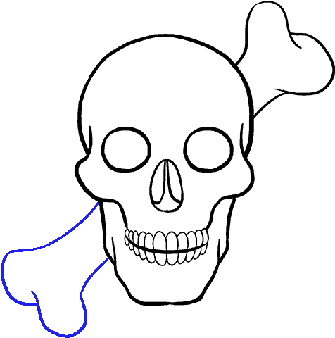 How To Draw Skull - Drawing (678x600), Png Download