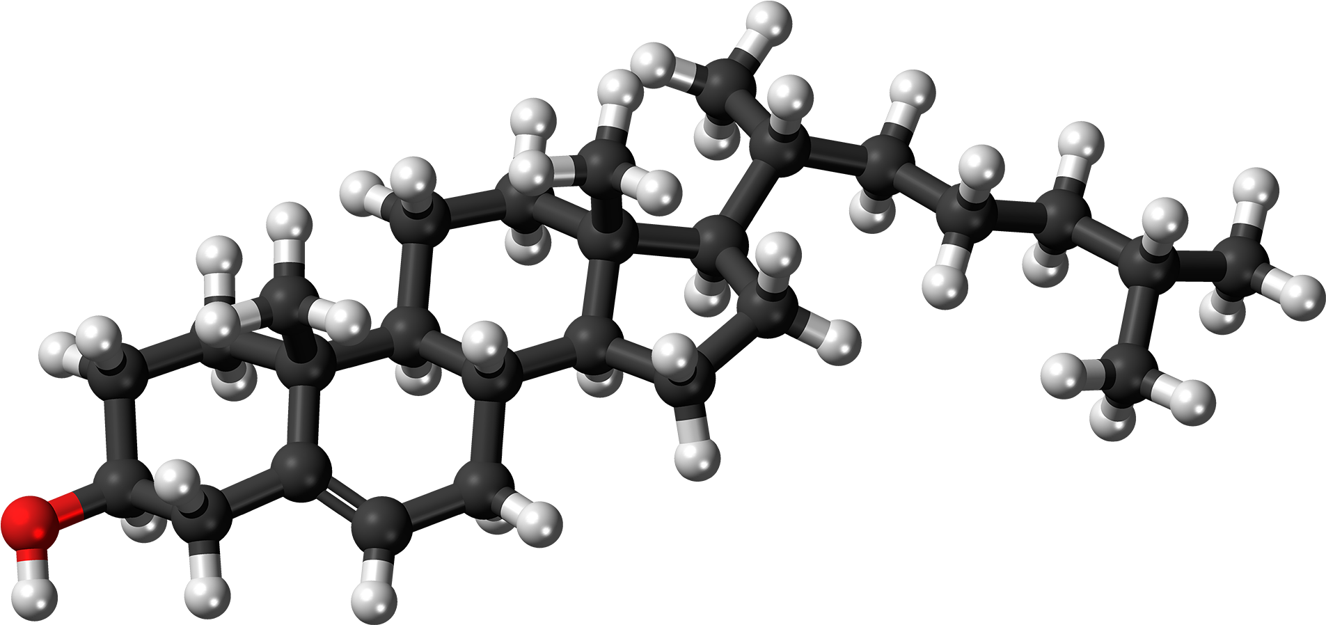 Cholesterol Molecule Ball - Cholesterol Molecule (2007x1000), Png Download