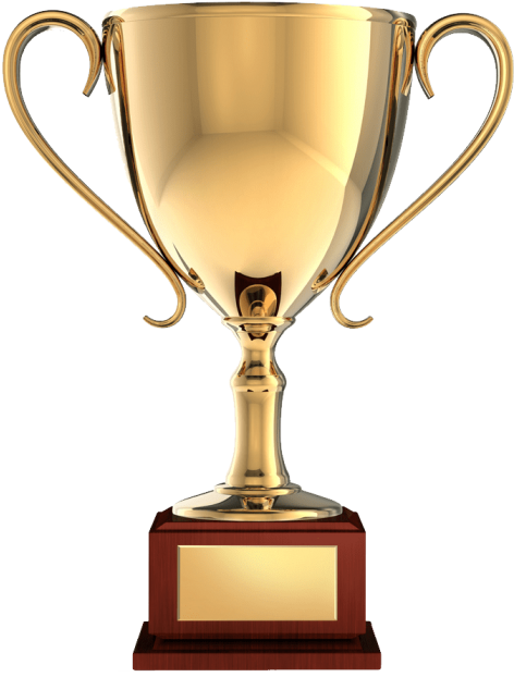 Trophy Transparent (480x626), Png Download