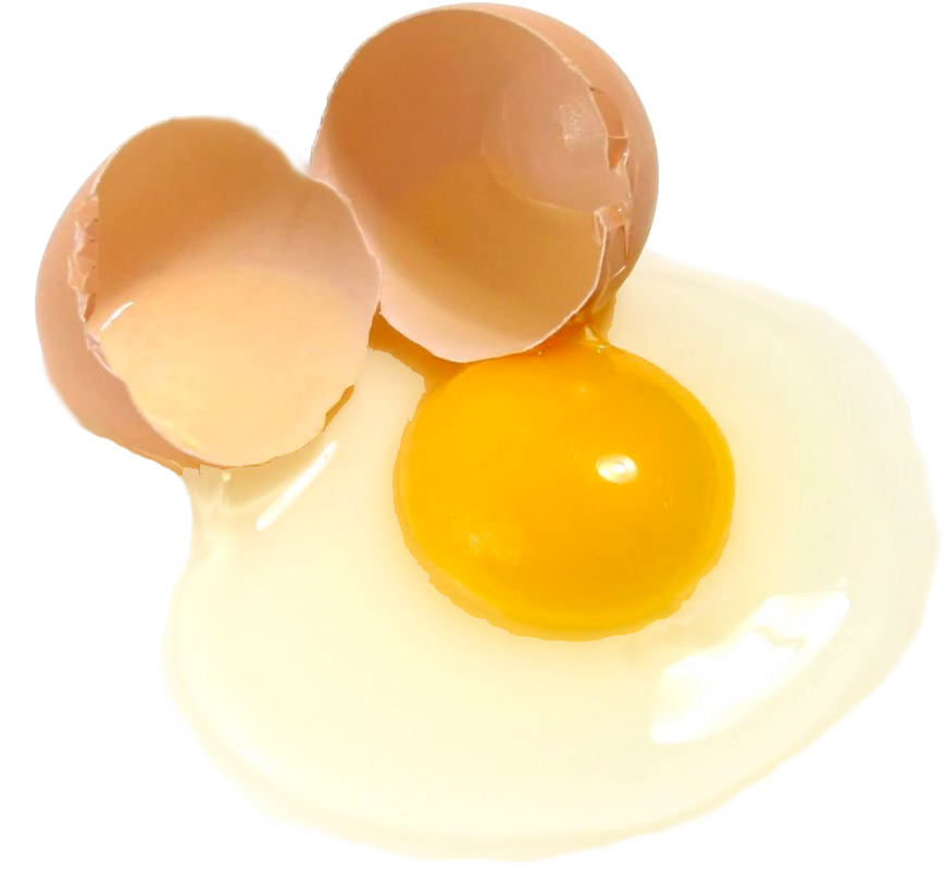 Egg White Png (1000x895), Png Download