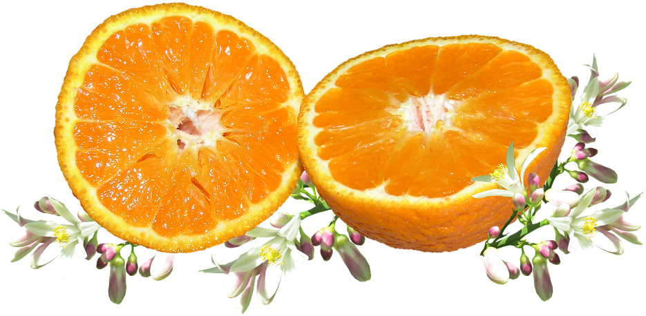 Fruit, Orange, Blossom, Citrus, Food, Vitamin, Organic - Bitter Orange Tangerine Png (960x473), Png Download