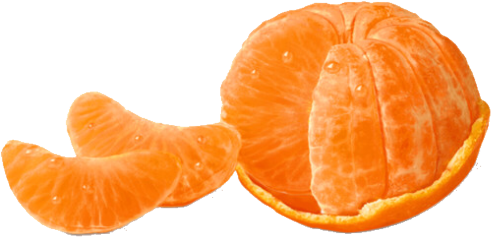 Orange Food Polyvore Moodboard Filler Fruit - Moodboard Fillers (640x297), Png Download