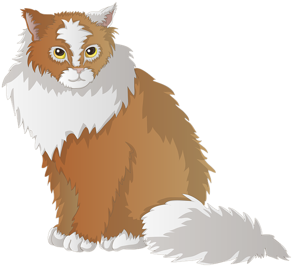 Cat, Burma, Animal, Breed Cat, Cute, Pet, Domestic - Cat (746x720), Png Download