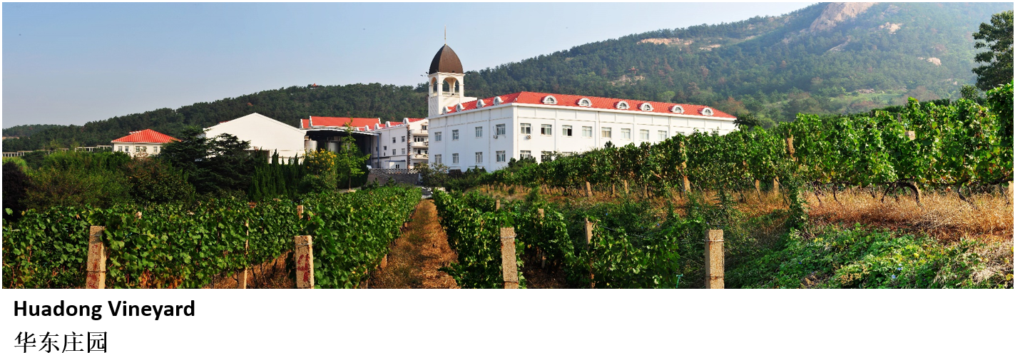 D2 - Manor House (1425x518), Png Download