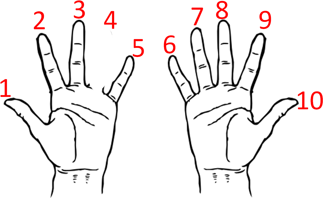 Fingers Name In Hindi (1452x867), Png Download