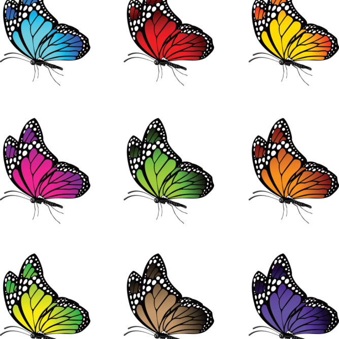 Beautiful Butterflies Vector - Renkli Kelebek Resmi Png (668x668), Png Download