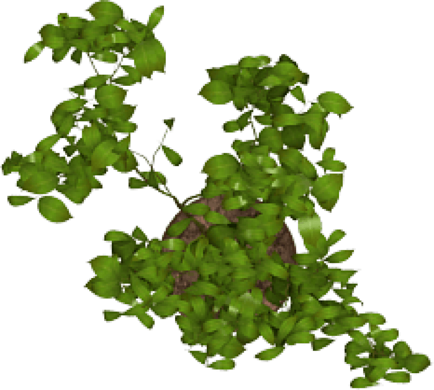 Download Plant Png Images Background - Toy (850x763), Png Download
