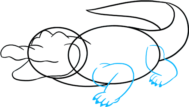 How To Draw Alligator - Alligator Drawing (680x678), Png Download