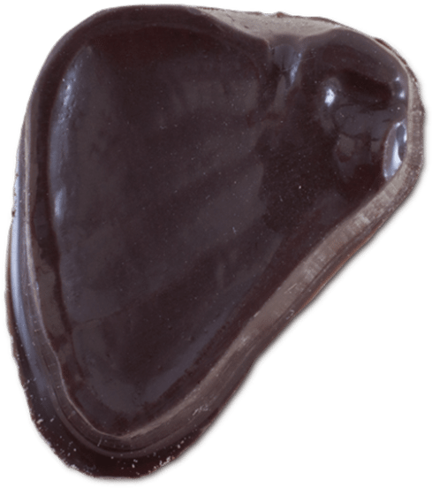 Scapula - Chocolate (585x585), Png Download