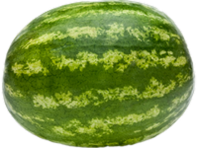 Watermelon Png Transparent Images - Watermelon (640x480), Png Download