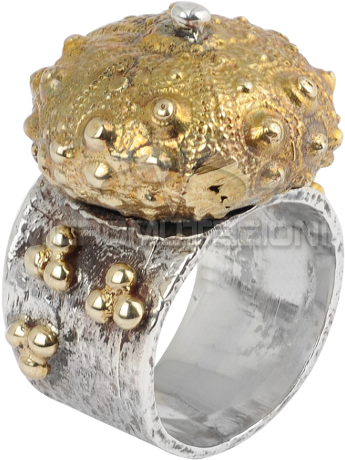 Sea Urchin Silver Ring With Brass Element Rings - Pre-engagement Ring (750x750), Png Download