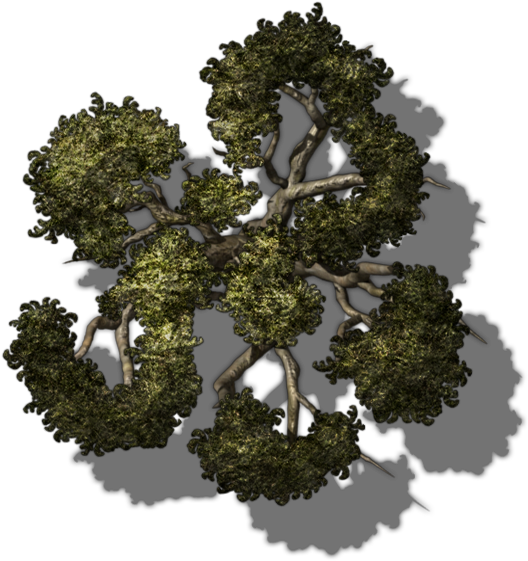 Qegw1 Small Tree 8 - Twig (560x560), Png Download