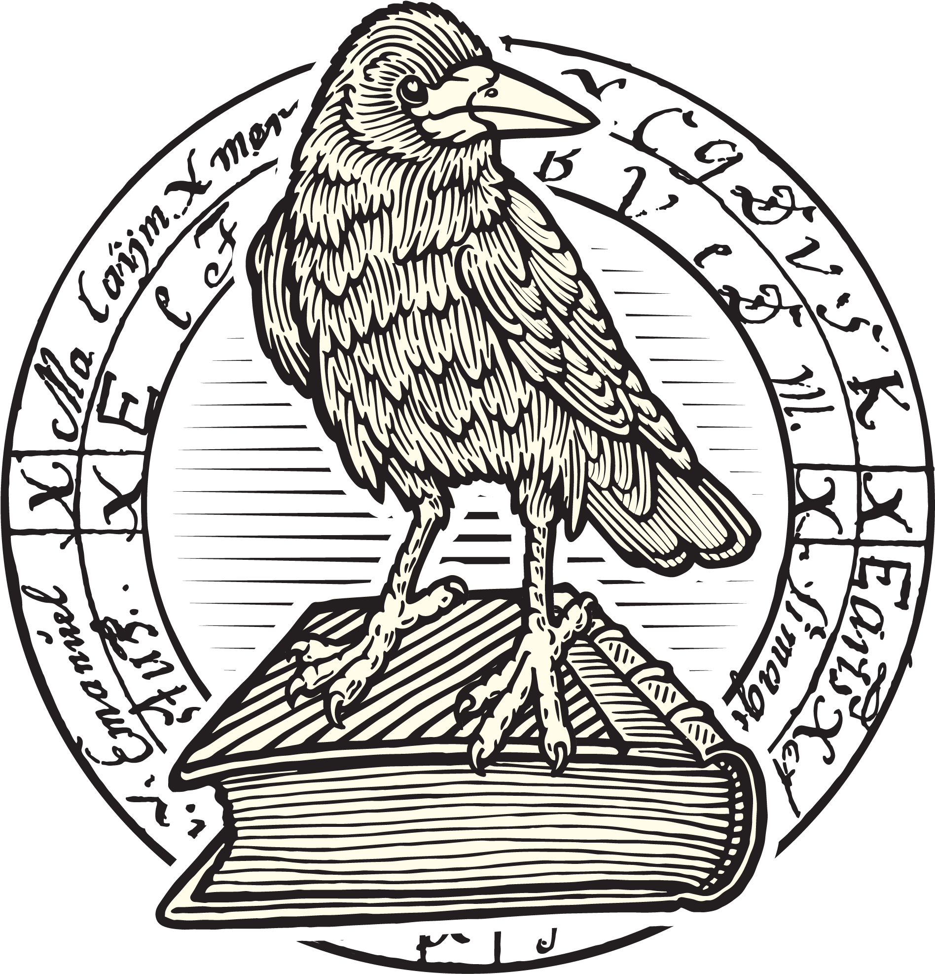 Kittel´s Raven - Perching Bird (1896x2209), Png Download