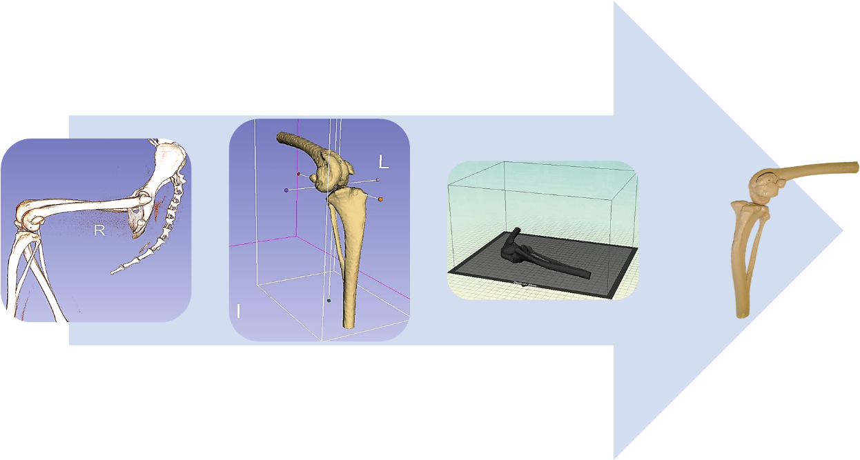 Figure - Blue Jay (1320x666), Png Download