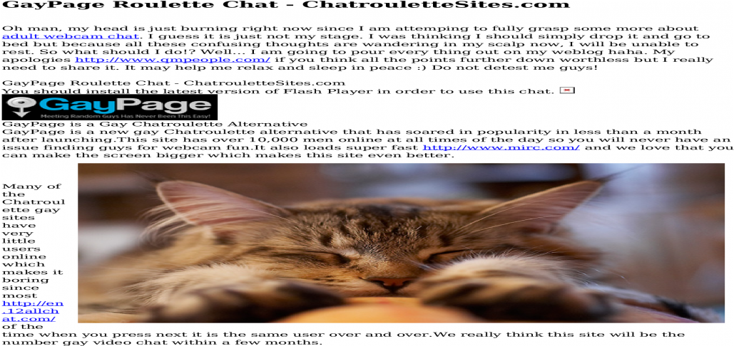 This Omegle Alternative - Kitten (1200x630), Png Download