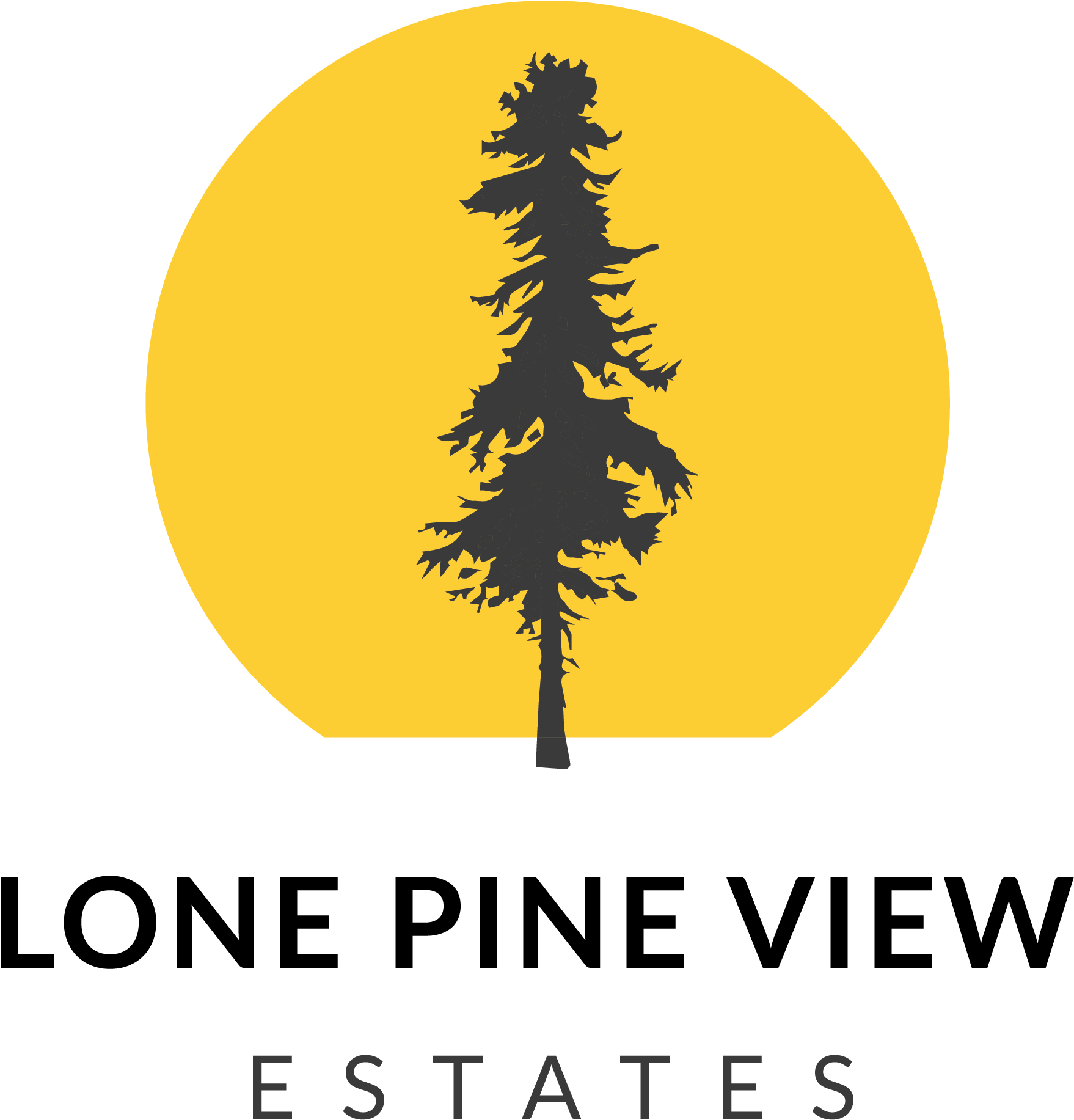 White Pine (3000x3000), Png Download