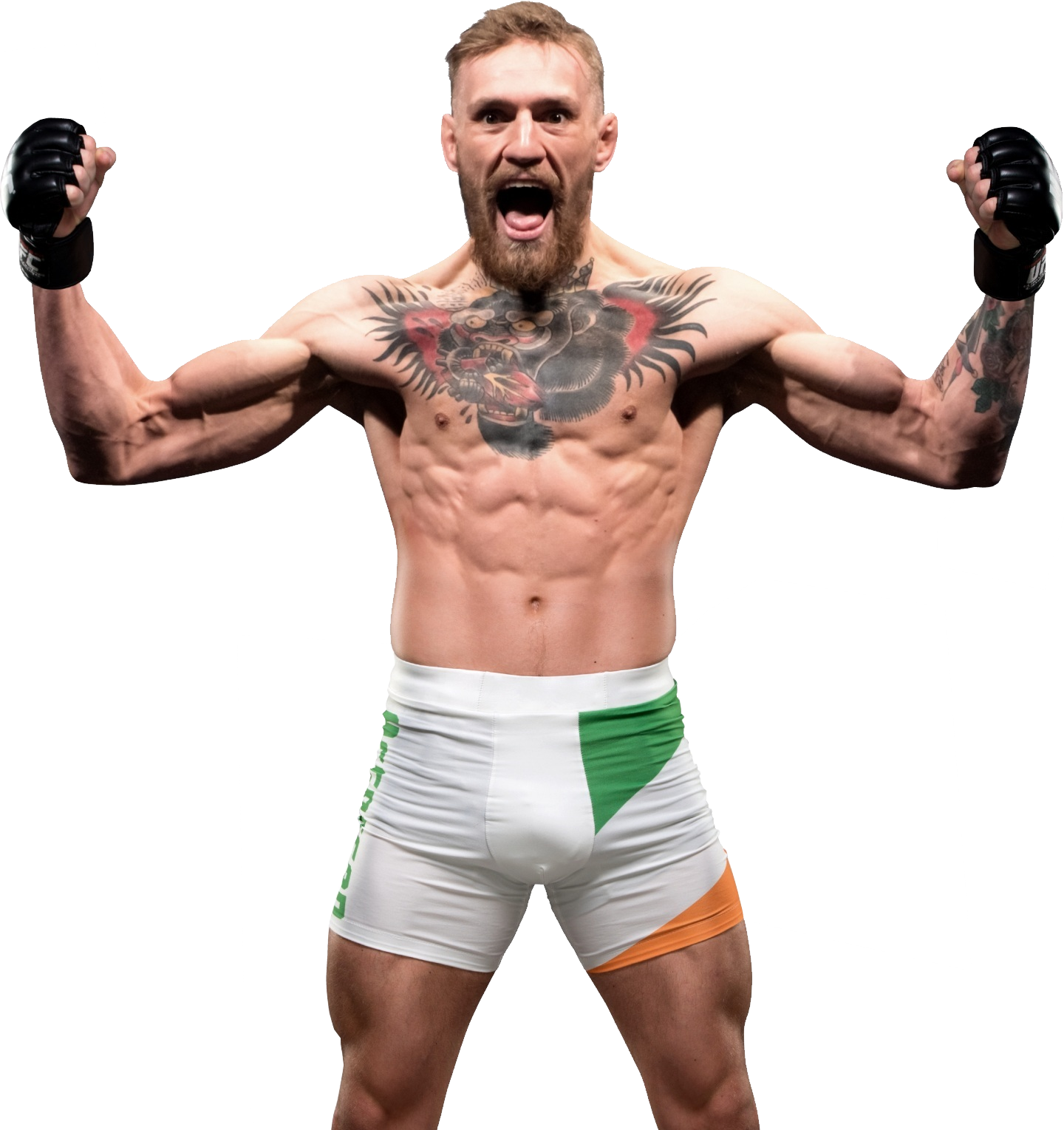 Conor Mcgregor Sticker (1440x1529), Png Download
