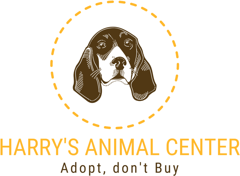 Pin It On Pinterest - Basset Hound (1024x812), Png Download