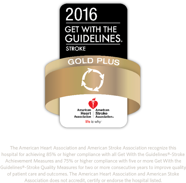 The Stroke Program Achieved The American Heart Association/american - 2016 Get With The Guidelines Stroke Gold Plus Quality (720x720), Png Download