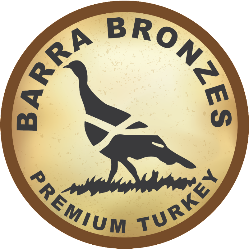 Barra Bronze Logo - Seabird (800x829), Png Download