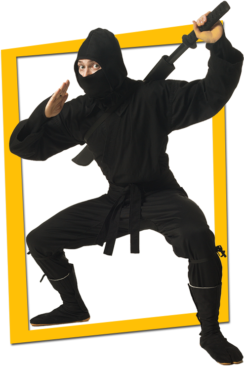 Ninja Parties - Costume (550x840), Png Download