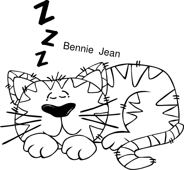 Small - Hidden Cat Clipart Black And White (600x554), Png Download