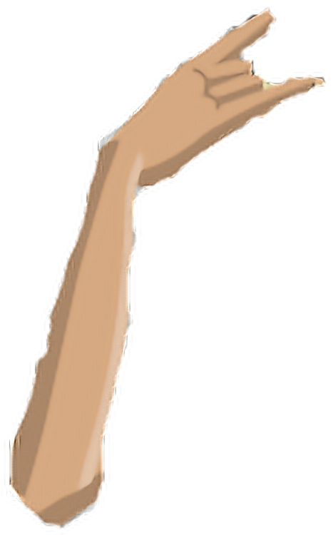 504 X 1012 2 - Wood (504x1012), Png Download