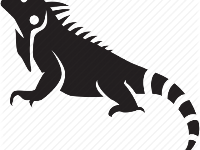 Green Iguana Clipart Geico - Iguana Icon (640x480), Png Download