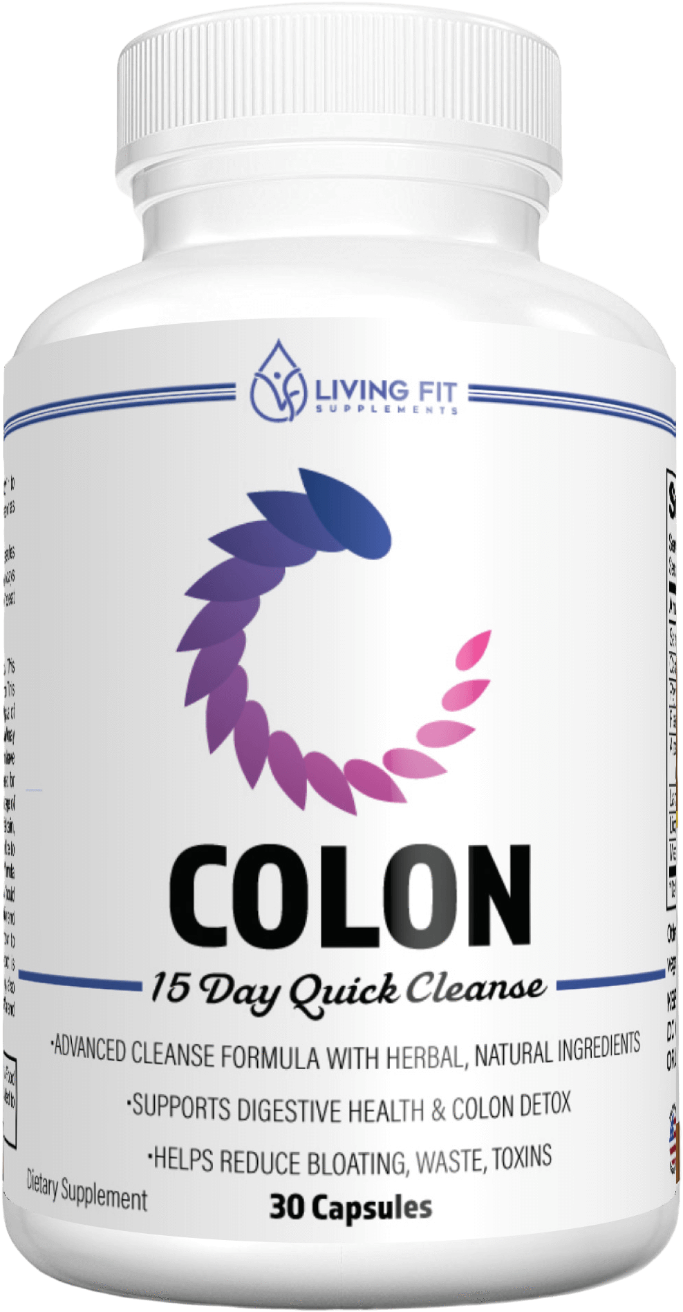 Skunk (2000x2000), Png Download