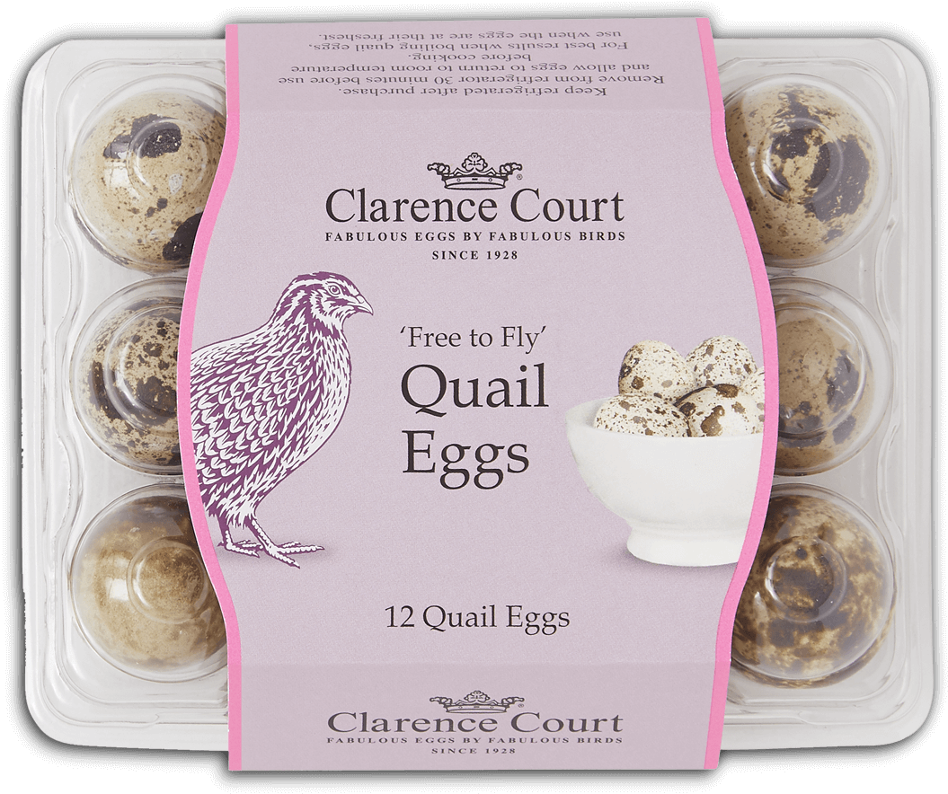 Quail Eggs - African Grey (1262x1000), Png Download