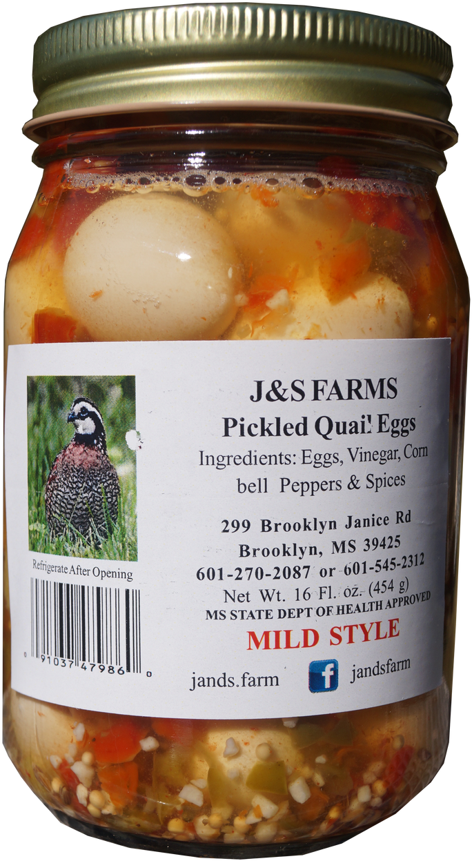 Categories - Cocktail Onion (749x1280), Png Download