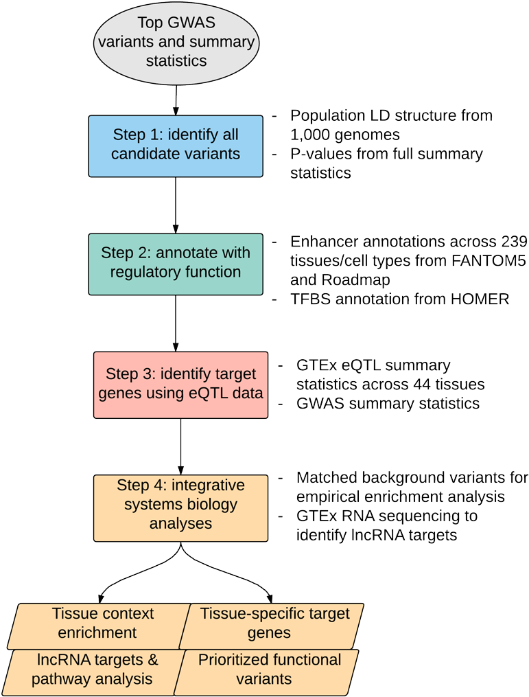 The Majority Of Variants Identified By Genome-wide - Diagram (800x1032), Png Download