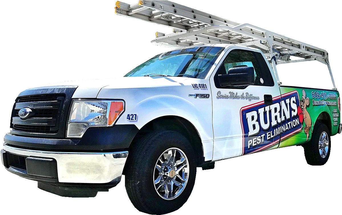 Burns Pest Pick Up - Ford Super Duty (1216x782), Png Download