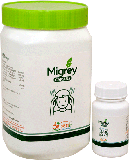 Insect (600x600), Png Download