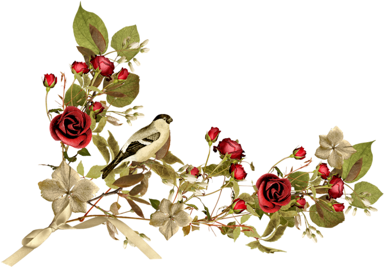 Black Wreath Png - Bon Apres Midi Anime (800x568), Png Download