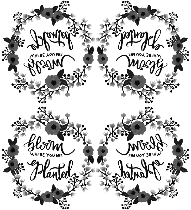 Black & White Bloom Where You Are Planted Wreath Fabric - Calligraphy (728x800), Png Download