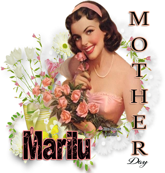 Gracias Amix Feliz Dia De Las Madres - Hybrid Tea Rose (600x600), Png Download