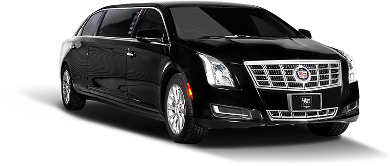Executive Limousines - Cadillac Limousine Png (800x386), Png Download