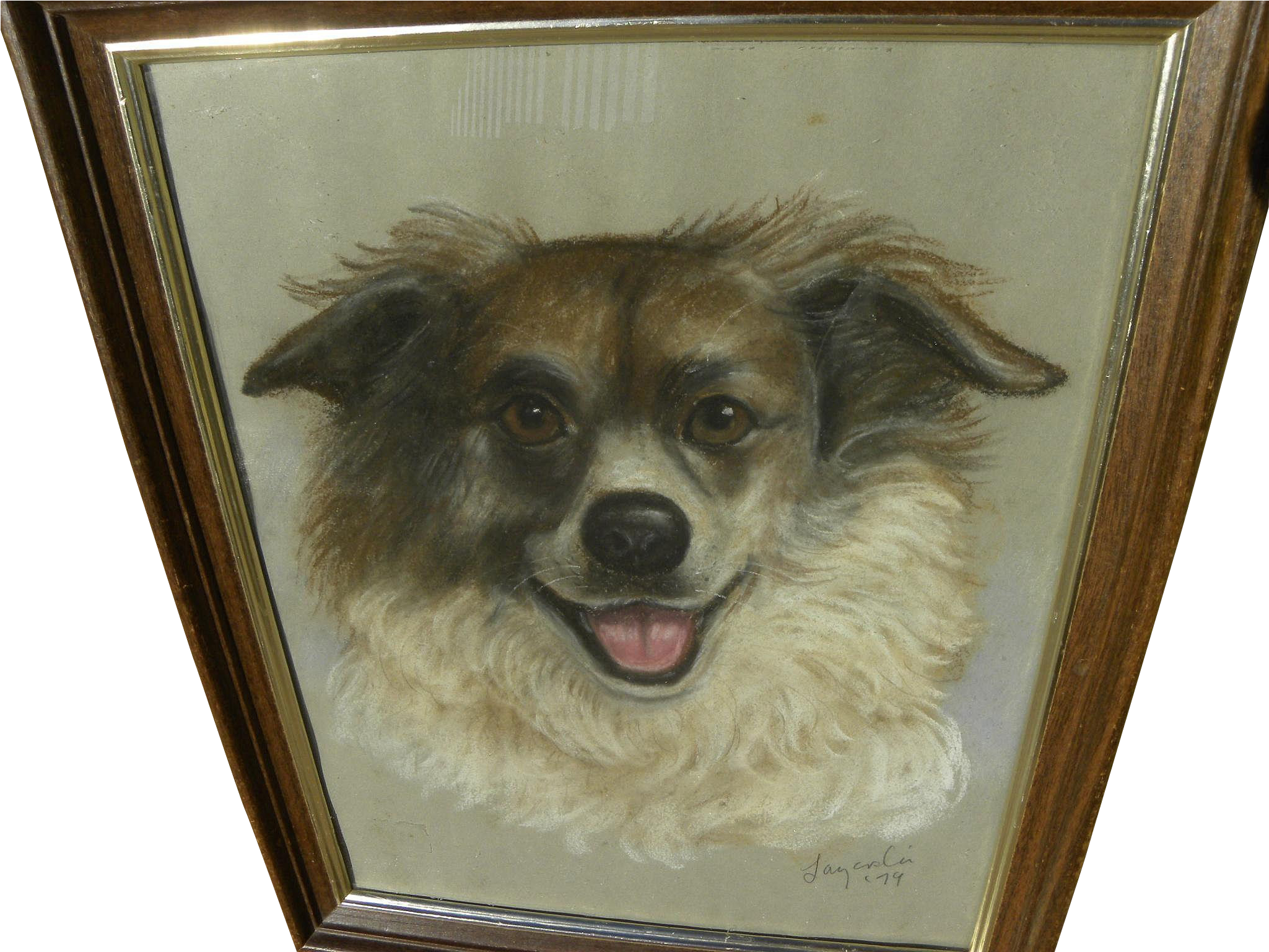 Tibetan Spaniel Pomeranian Puppy Breed Companion - Companion Dog (2048x2048), Png Download