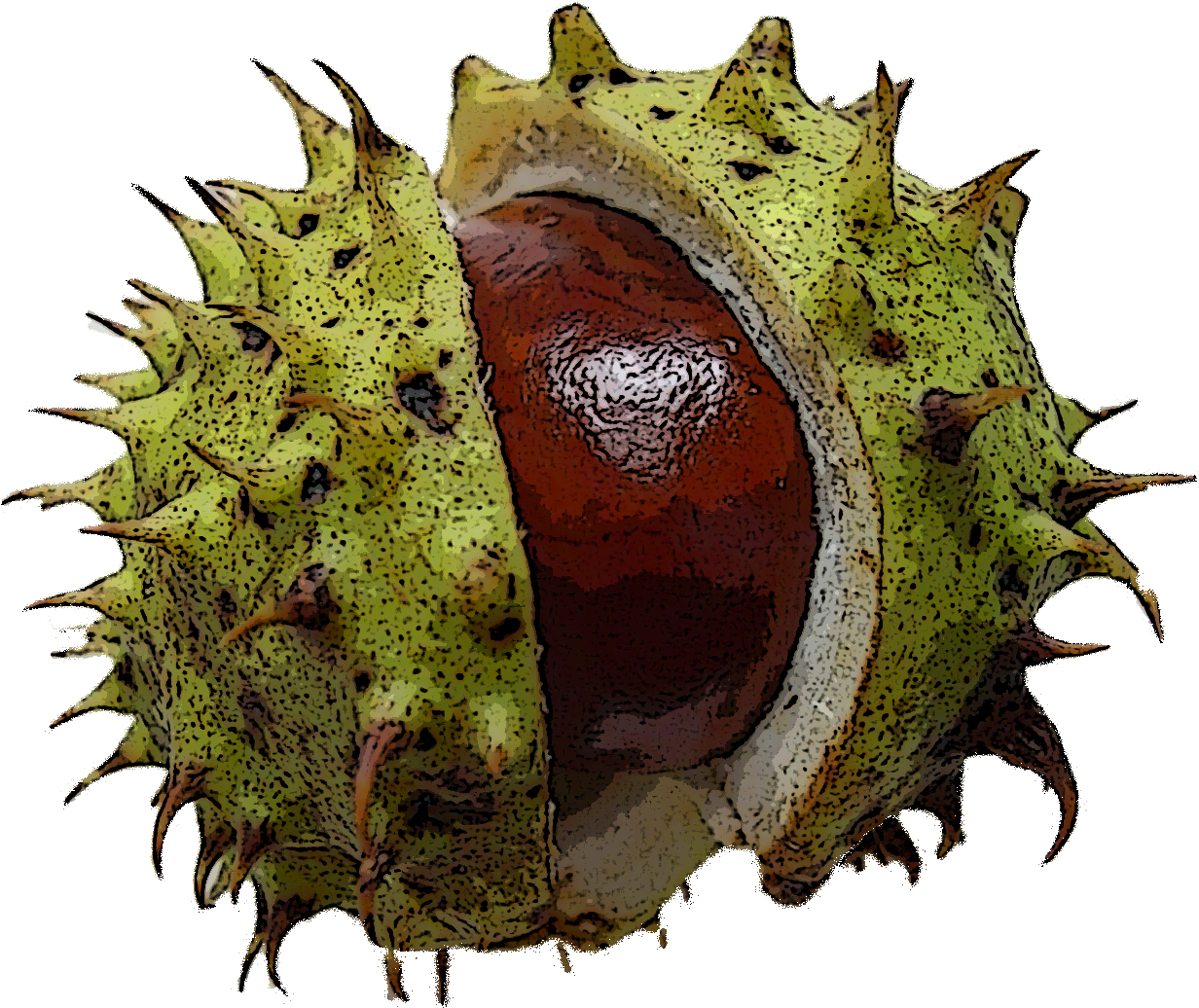 'cup Of Tea Tales' Fun And Games At Harehills C - Chestnut (1259x1088), Png Download