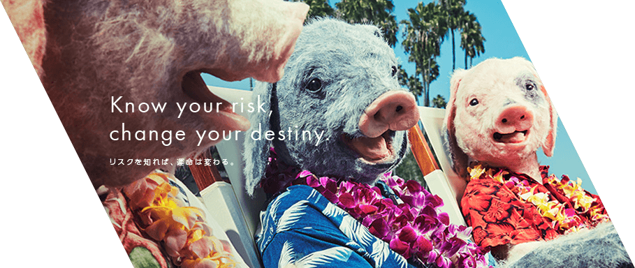 Aig General Insurance “three Little Pigs” - Punxsutawney Phil (909x384), Png Download