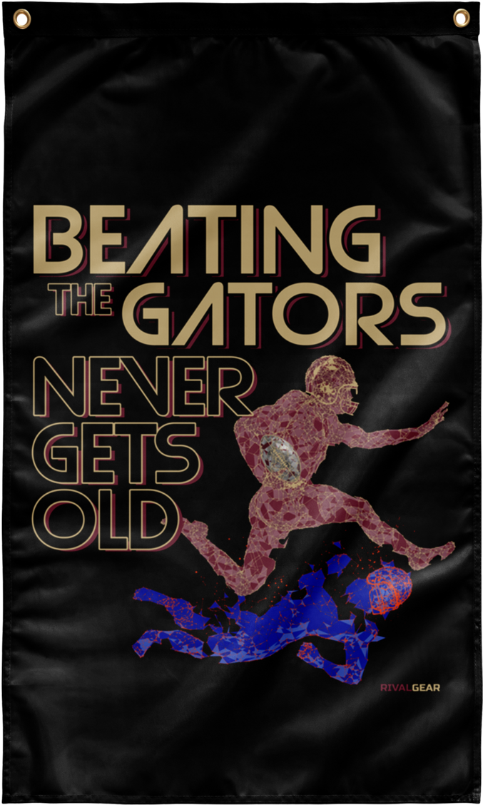 Florida State Seminoles One-sided Wall Flag, Beating - Bag (1160x1160), Png Download