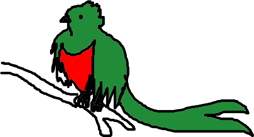 Quetzal - Illustration (1020x608), Png Download