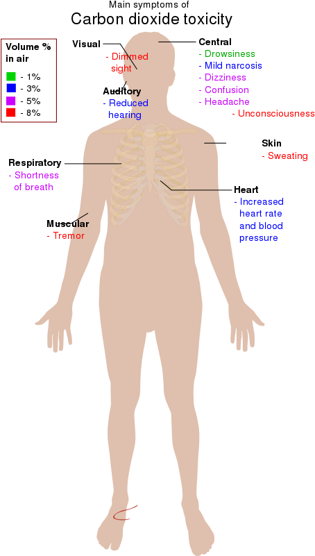 Carbon Dioxide Toxicity Symptoms (498x800), Png Download